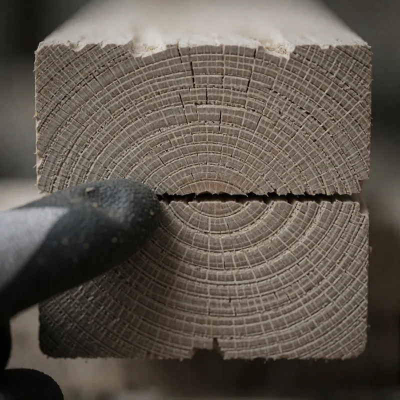 A tide line in the end grain of a floor joist in Woodside, New York